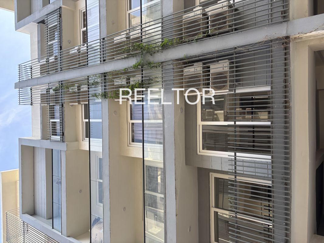 Shop For Rent In Danagalodi Seskhal