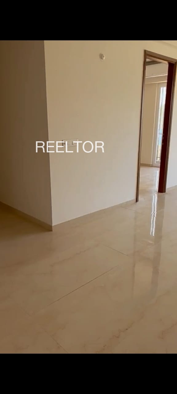 Shop For Sale In Malgam Kodinar