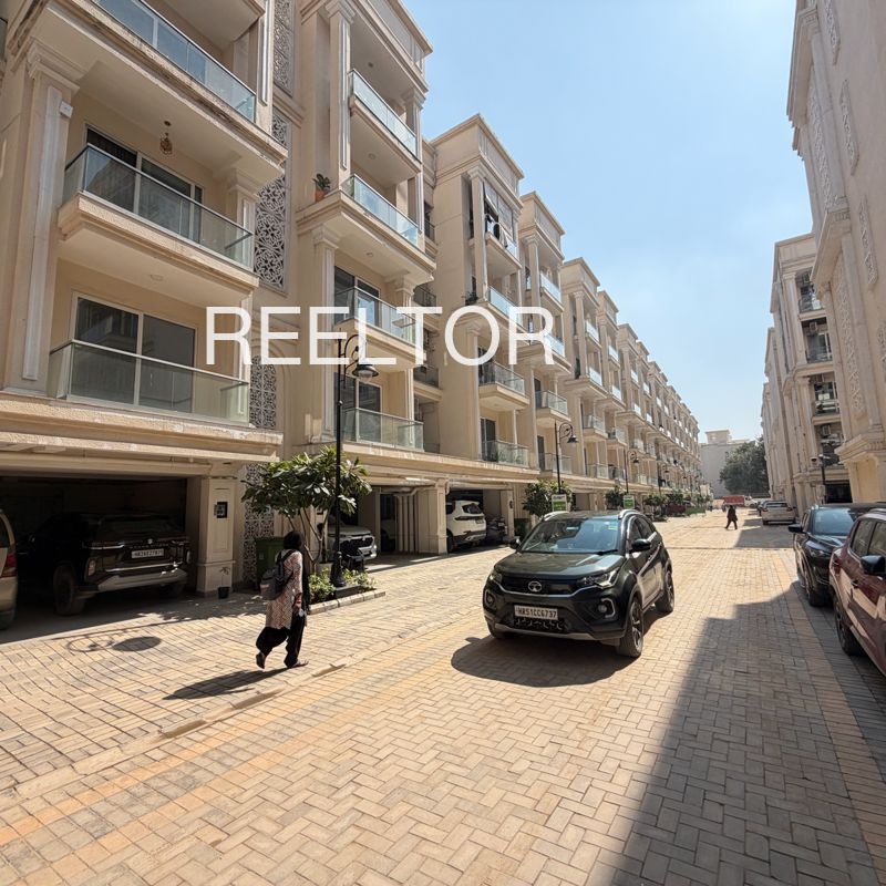 Shop For Rent In Khotiya Padma Jharda