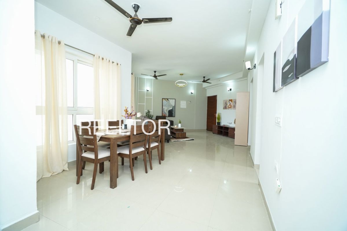 Shop For Sale In Junial Cheta