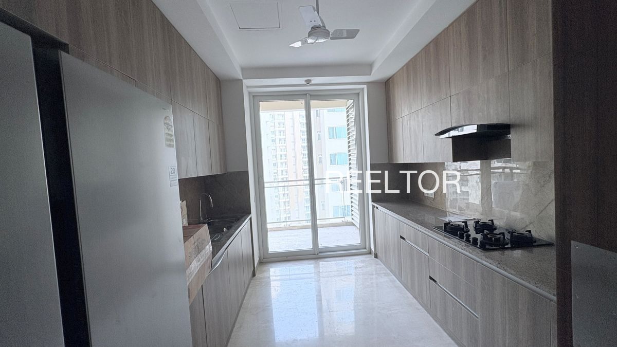 Shop For Rent In Ghasola Dadri