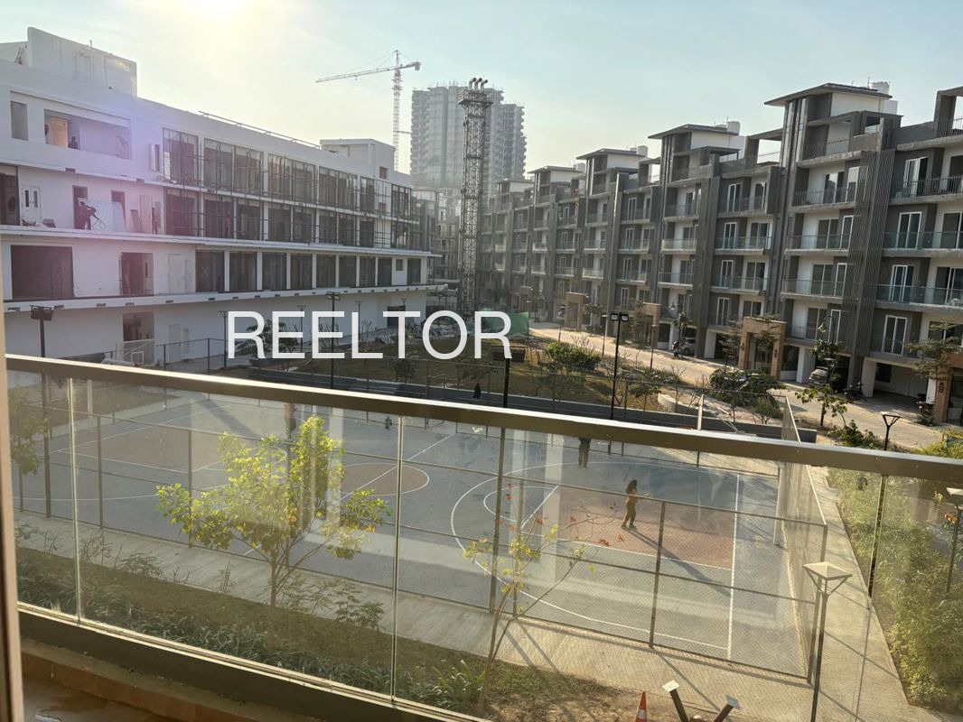 Shop For Rent In Ghal Gad Chaubatta Khal