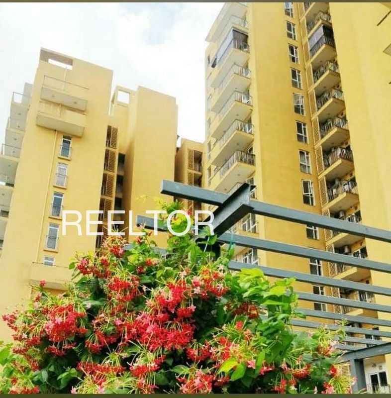 Shop For Sale In Jaran Doda