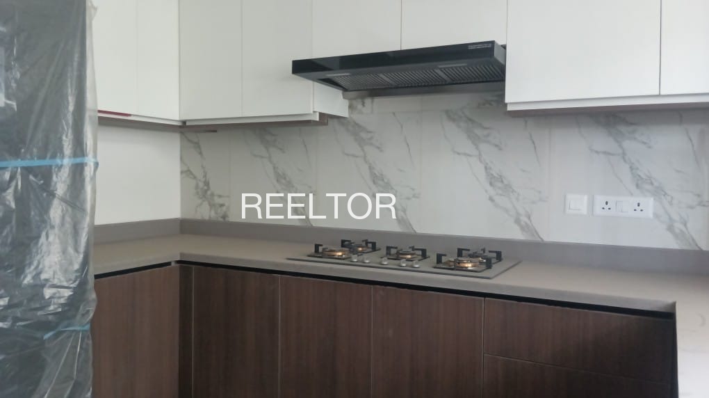 Shop For Sale In Visalpur Kadi