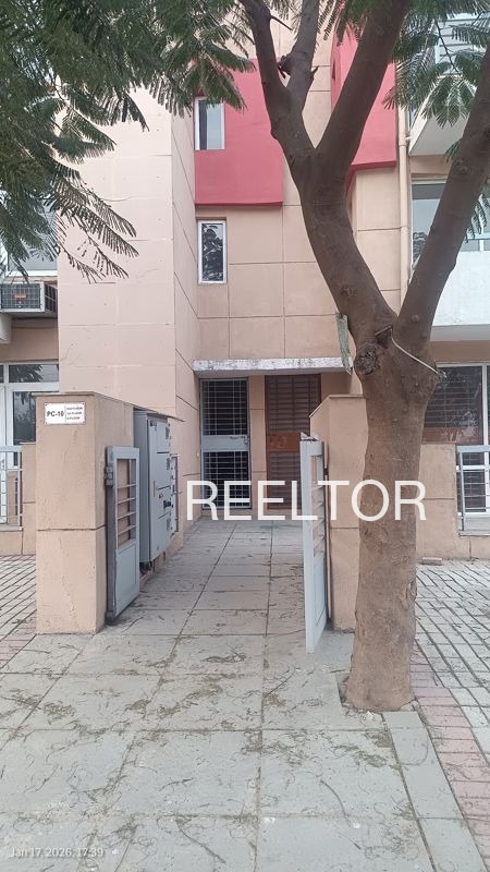 Shop For Rent In Chhichhawali Morena