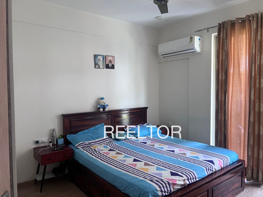 Shop For Sale In Visalpur Kadi