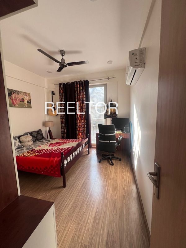 Shop For Rent In Dakewadi Jafferabad