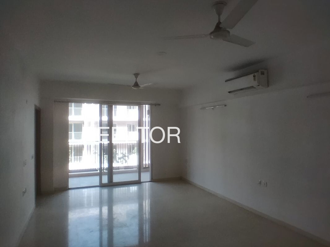 Shop For Rent In Sejawata Ratlam Nagar