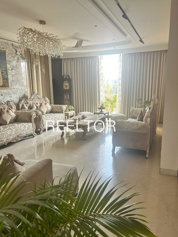 Shop For Sale In Chunchale Pachora