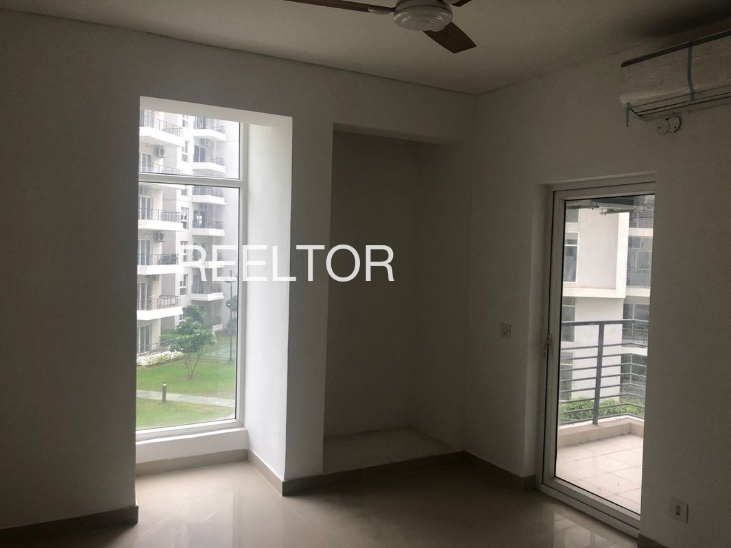 Shop For Rent In Punjabi Camp Model Town