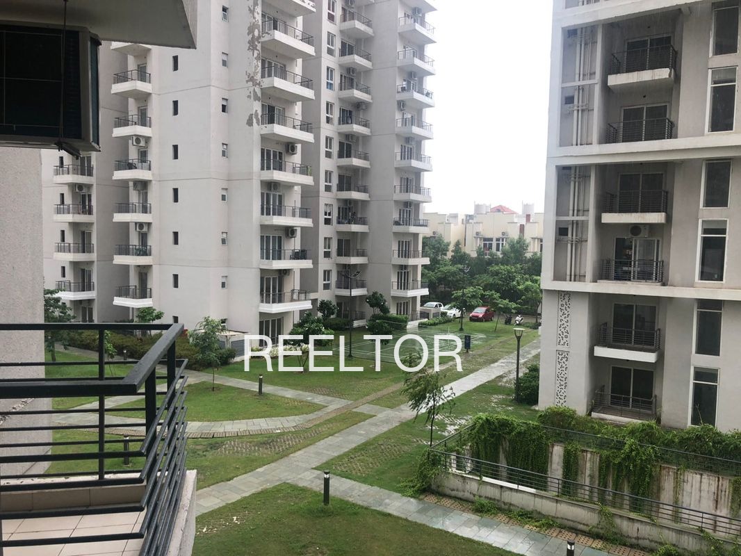 Shop For Sale In Sanjori Dhule