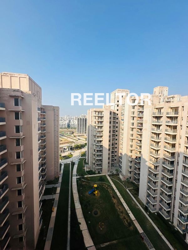 Flat For Rent In Rakshak Society Haveli