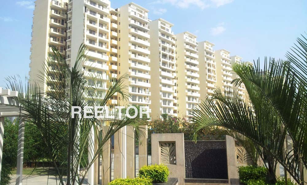 Flat For Sale In Shashan Jubbal
