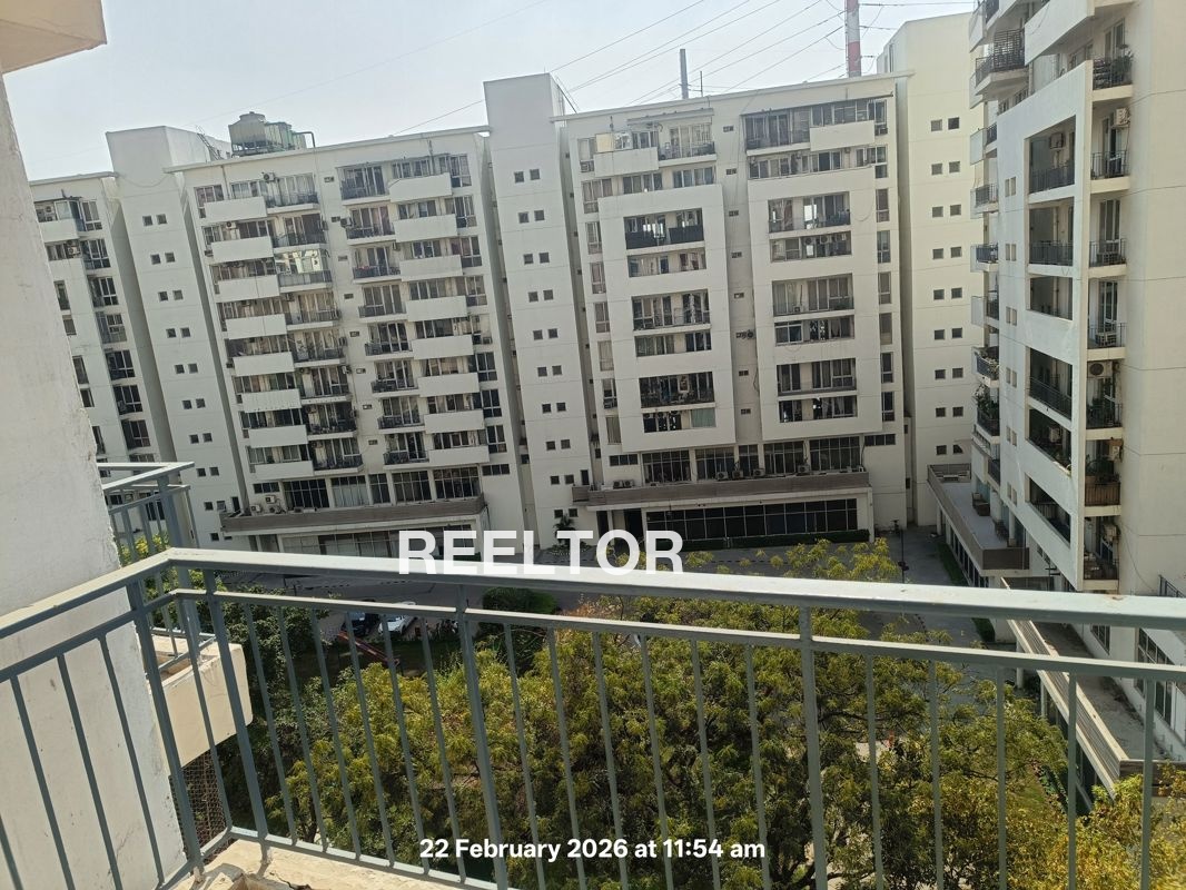 2 Bhk Flats For Rent In Arera Colony Bhopal