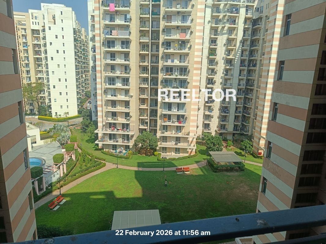 Flat For Rent In Rajindarnagar Fatehgarh Sahib
