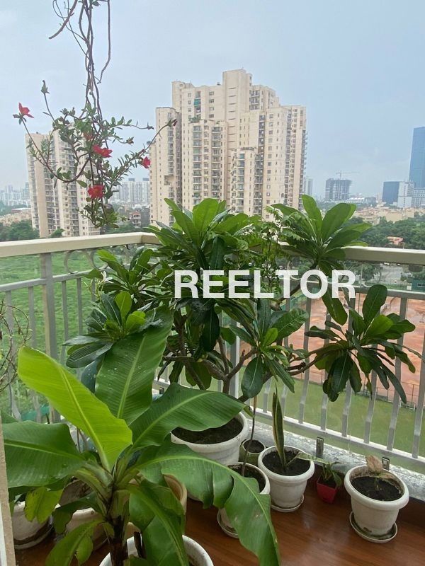 Office Space For Rent In Dara Ka Nayagaon Hindoli