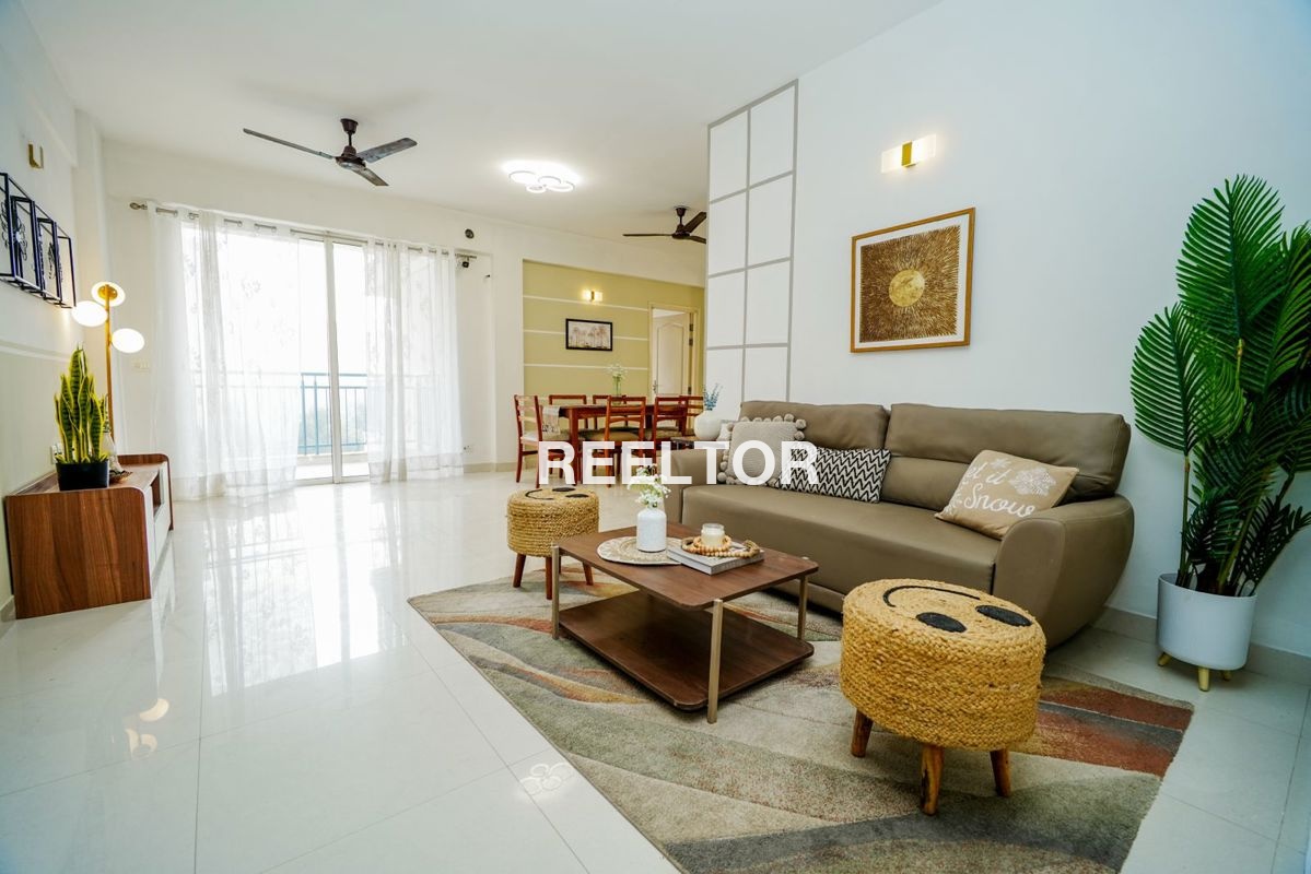 Flat For Rent In Bhatpura Palampur