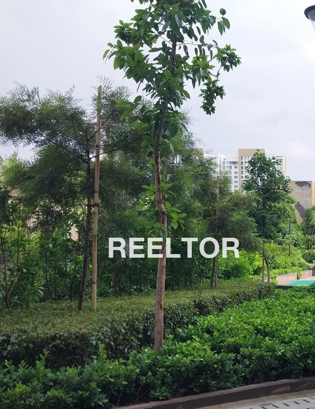 Flat For Sale In Thalakan Mandi