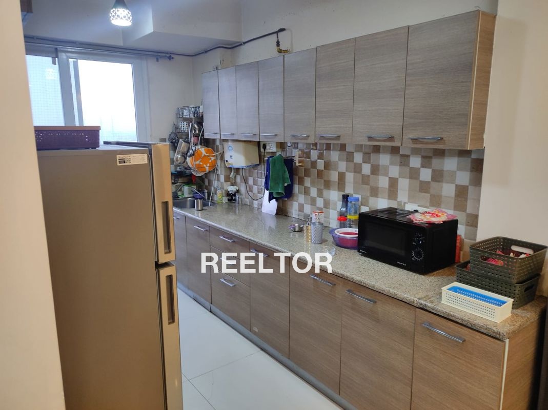 Flat For Rent In Shalesh Sainj