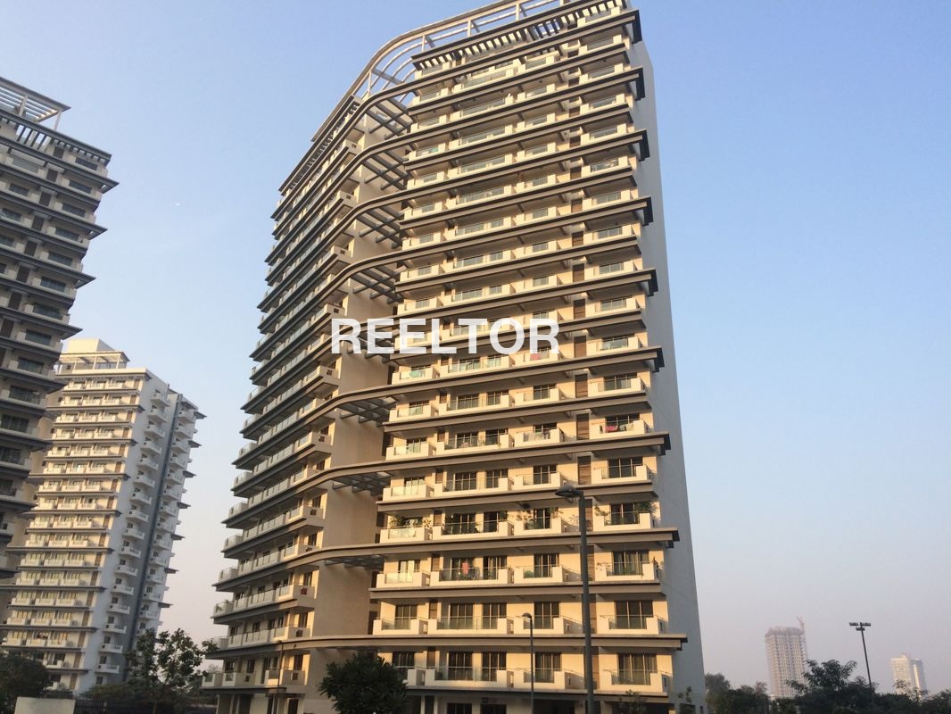 Office Space For Rent In Shobhala Jetmal Dhorimanna