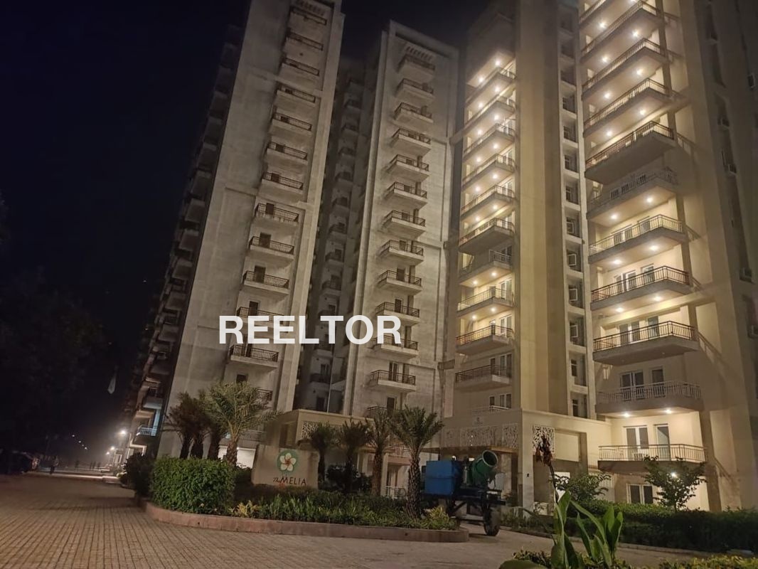 Flat For Rent In Kallaganura Shirahattiu