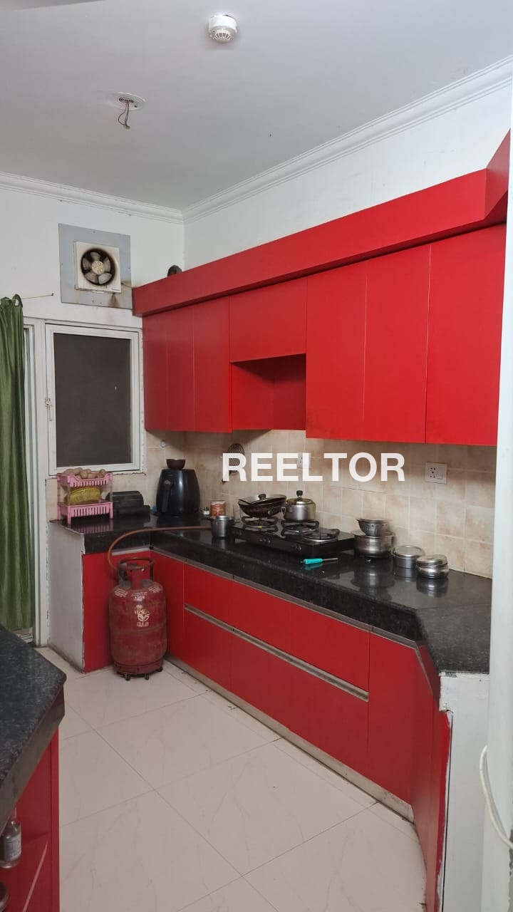 Flat For Rent In Nohara Nawalgarh