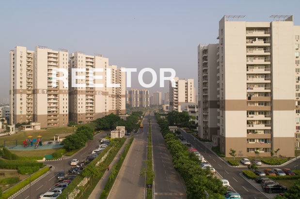 Flat For Sale In Dalosingh Ki Dhani Paota