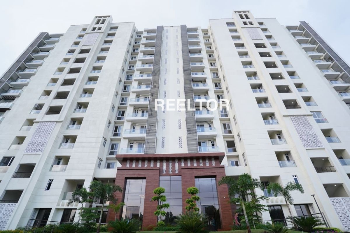 Flat For Sale In Navegaon Salekasa