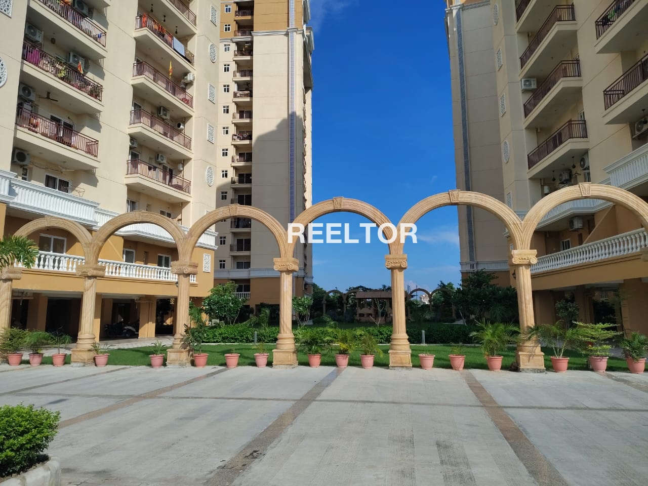 Flat For Rent In Thandidhar Rajgarh