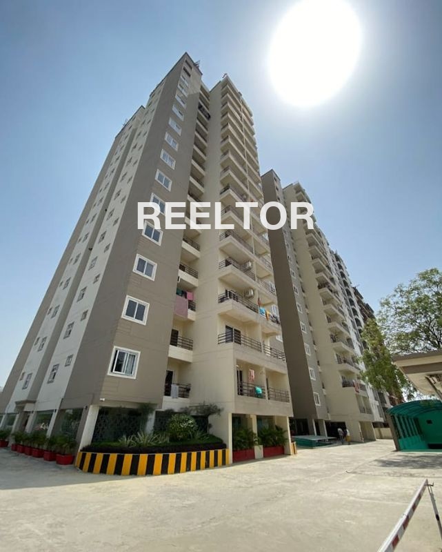 Flats For Rent And Sale In Rangoli Gardens Jaipur