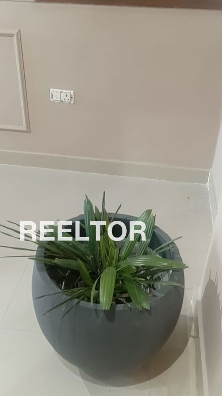 Flat For Rent In Kamhali Kandaghat