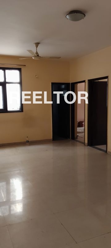 Flat For Rent In Balara Rajgarh