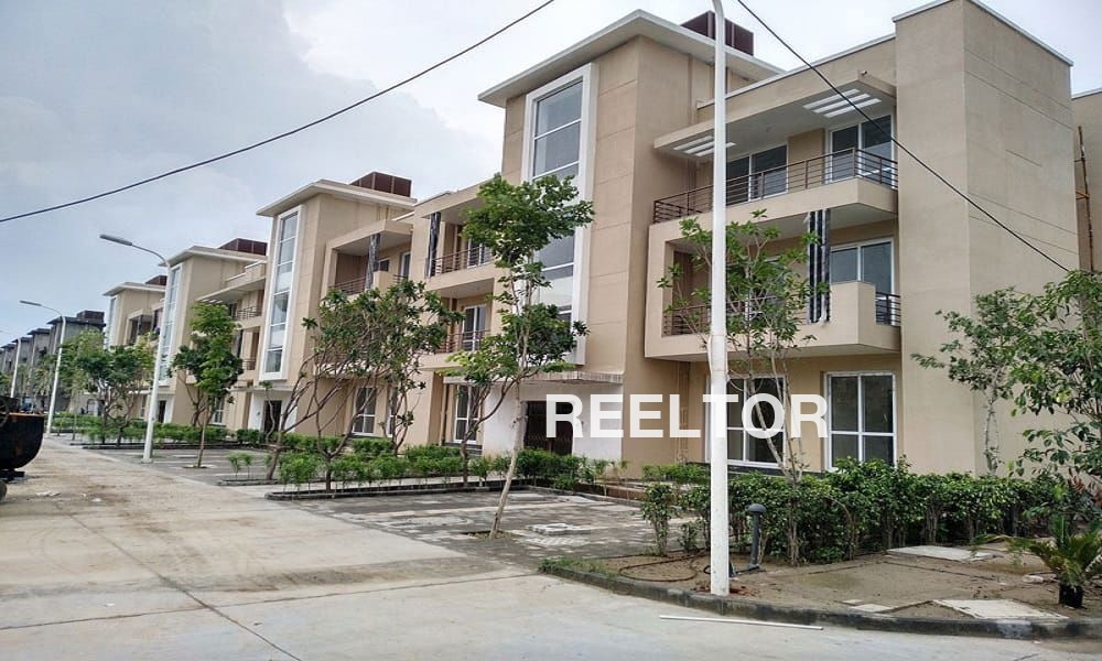 Flat For Rent In Chharsa Shahpura