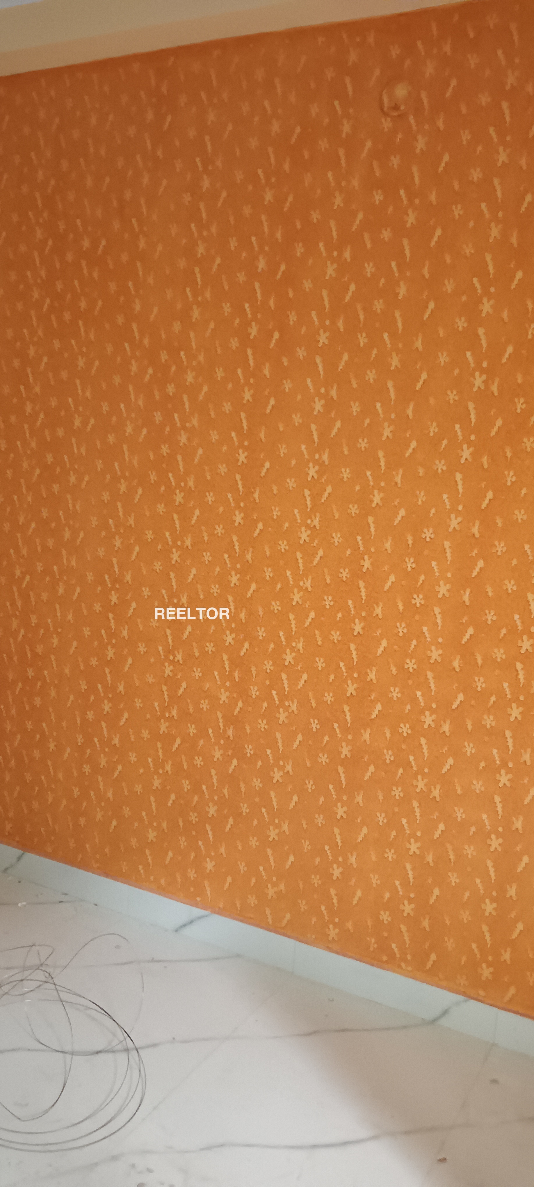 Flat For Rent In Balara Rajgarh