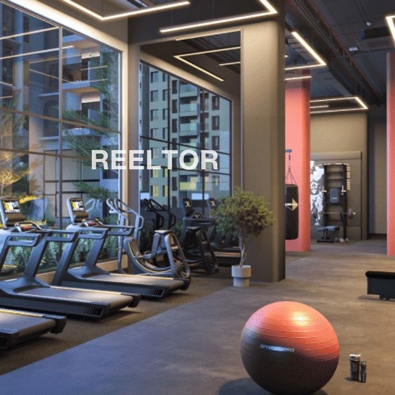 Flat For Sale In Palkator Shahgarh