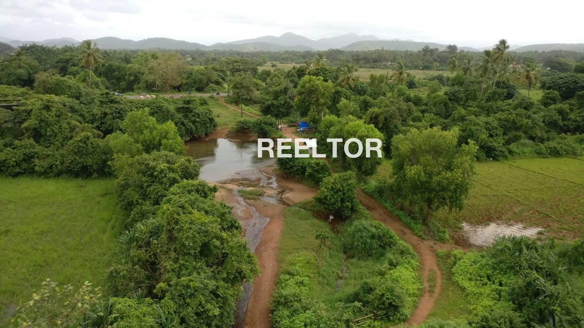 2 Bhk Flats For Rent In Arera Colony Bhopal