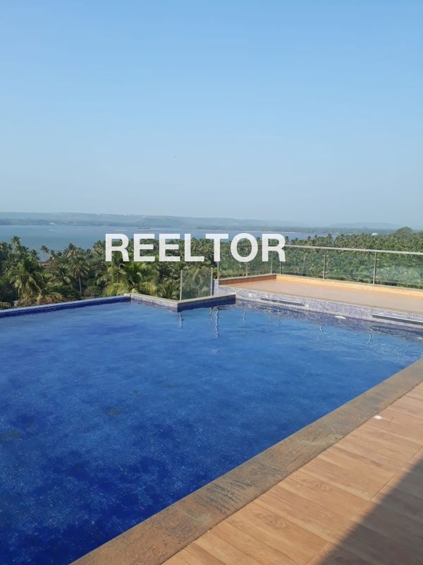 Flat For Rent In Kamali Kotkhai