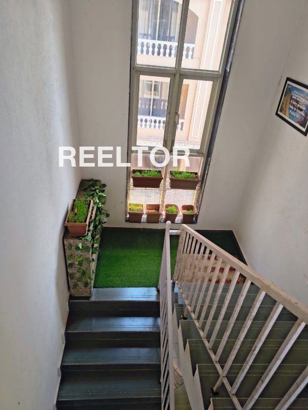 Flat For Rent In Tatardi Bhuntar