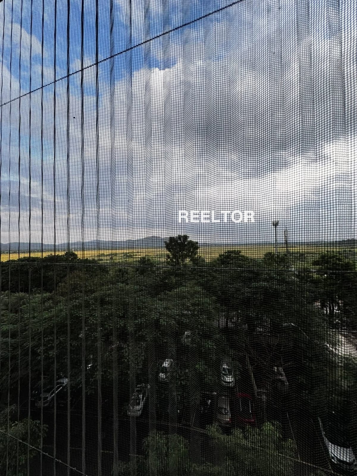 Flat For Rent In Pharaya Malwala Firozpur