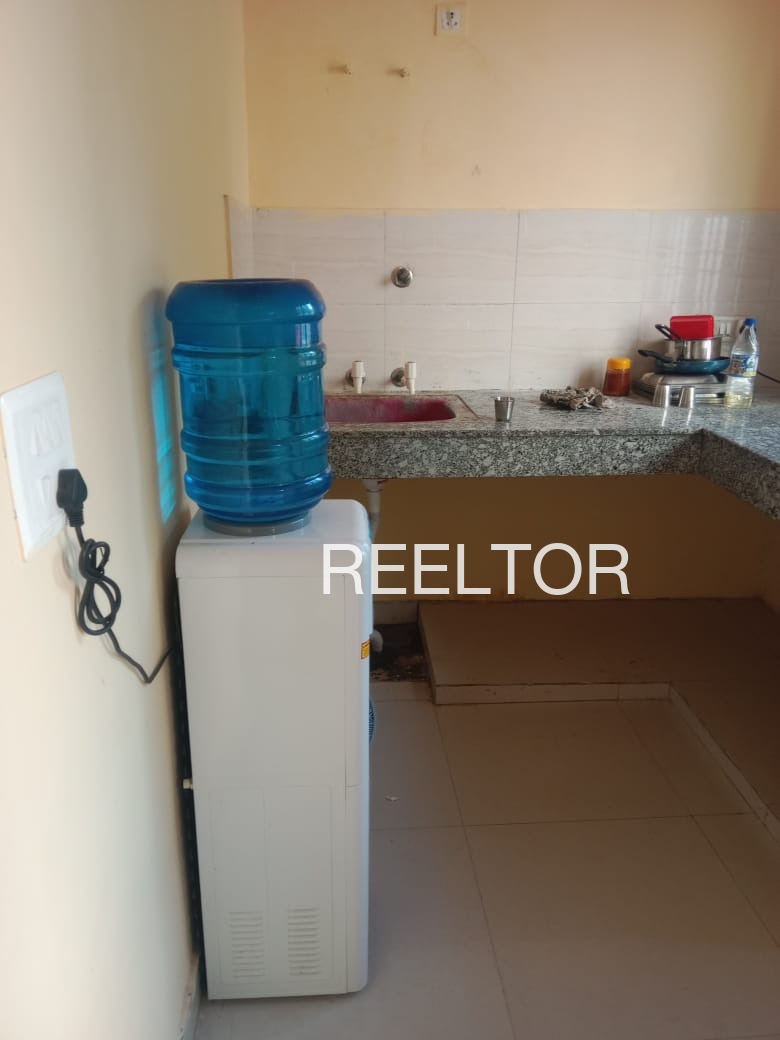 Pg For Rent In Gaihr Palampur