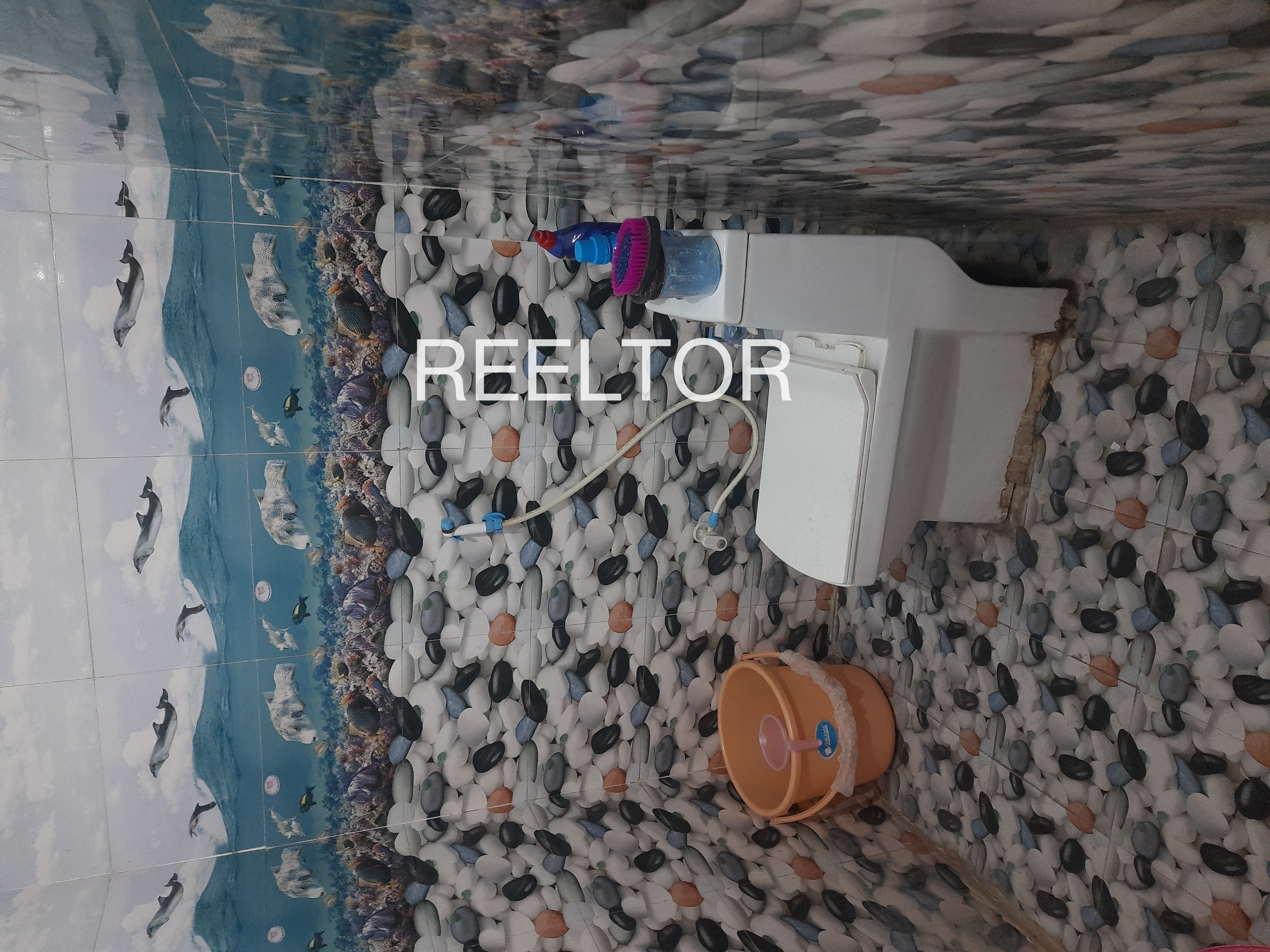 Pg For Rent In Jorawar Pura Bhadesar