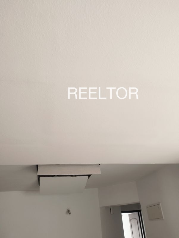 Pg For Rent In Galana Ladpura