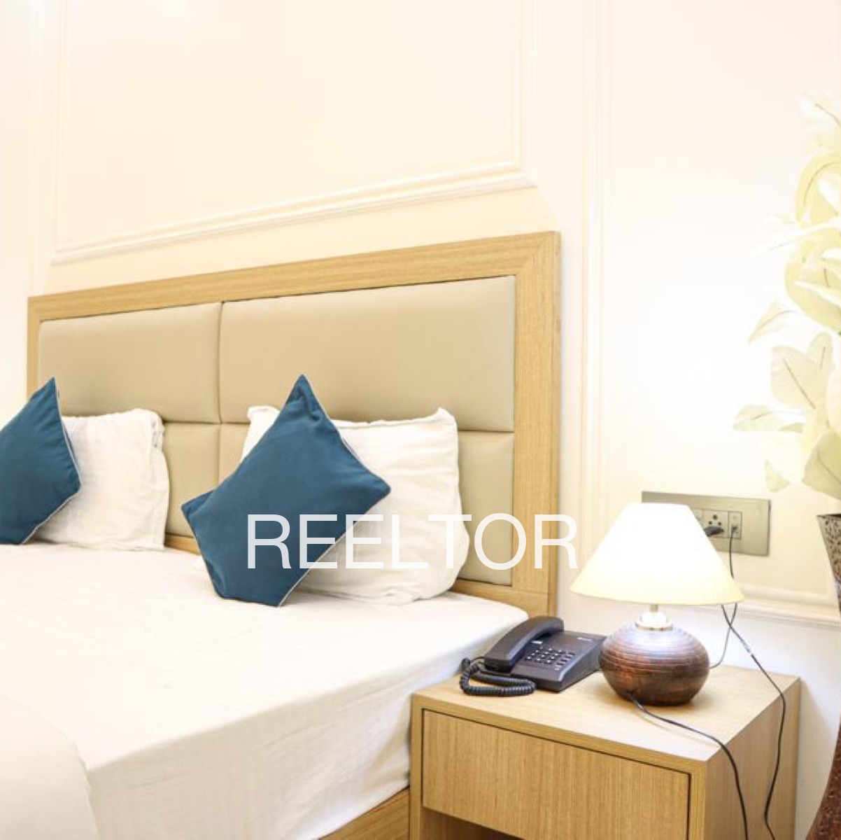 Pg For Rent In Ramachandra Mission Colony Palakkad