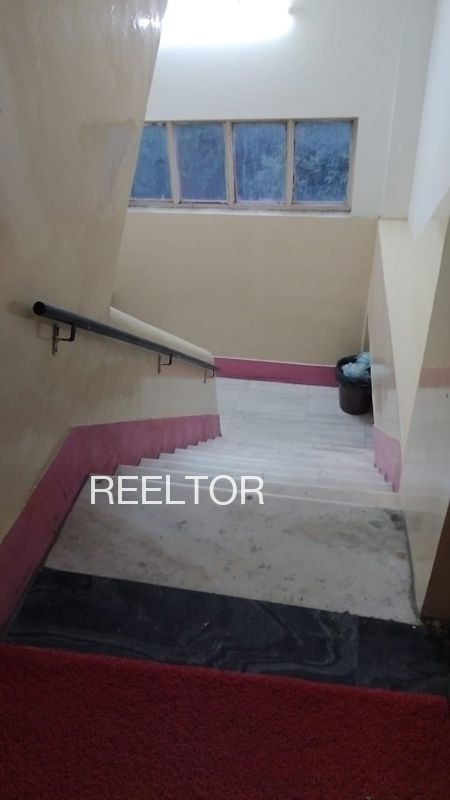 Pg For Rent In Nellikkunnu Colony Pattambi