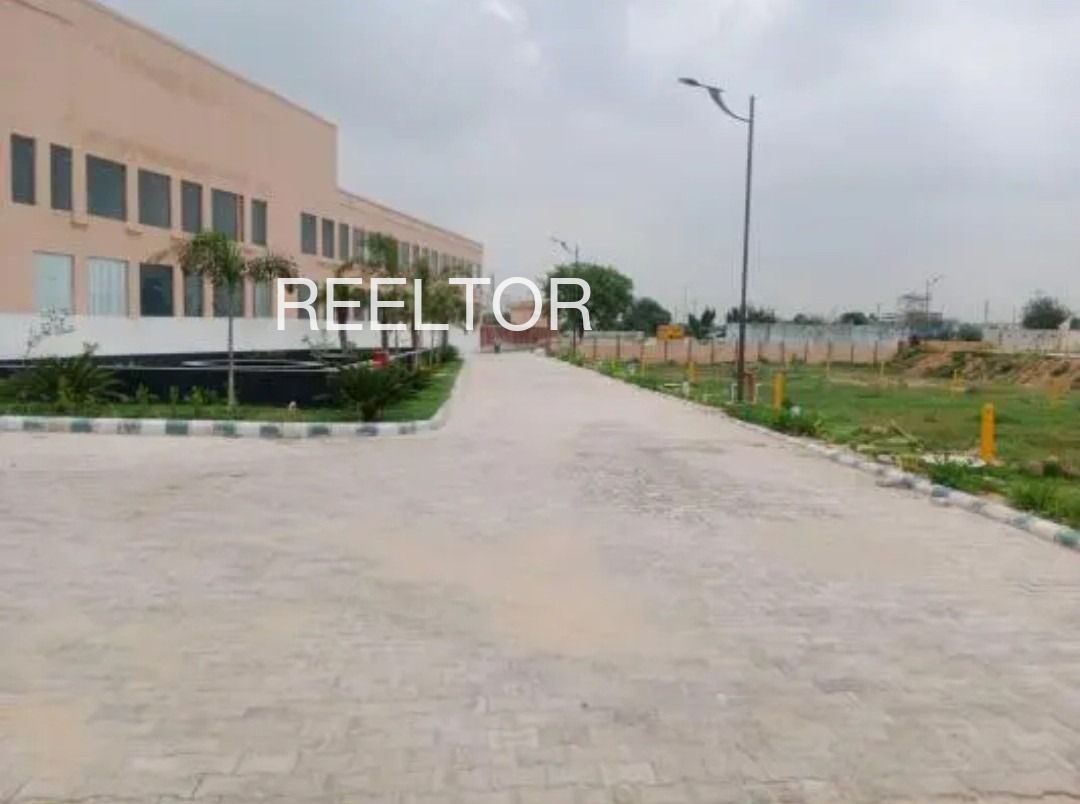 Plots For Sale In Nurpur Labana Kapurthala