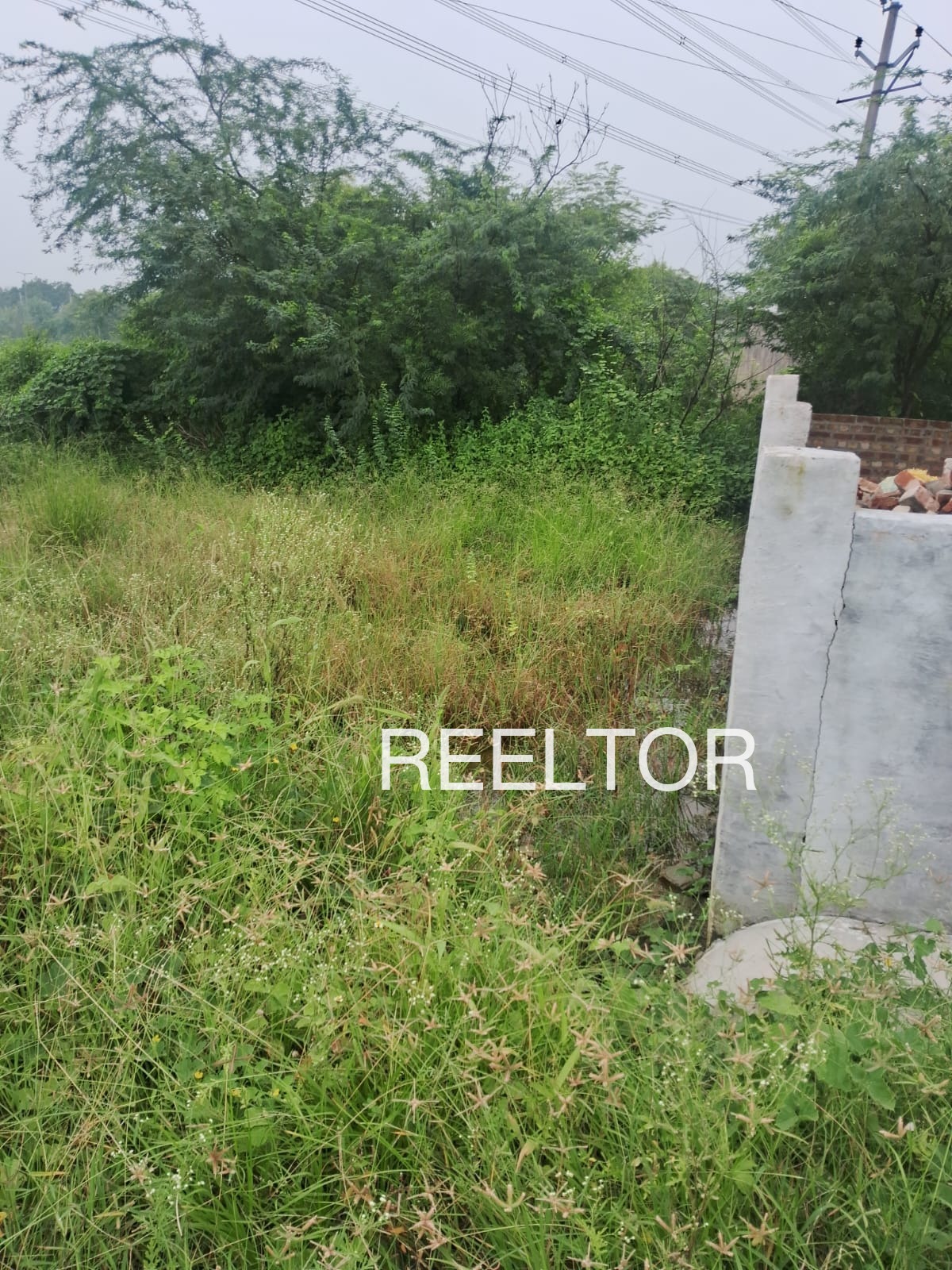 Plots For Sale In Matili Rathan Ganganagar