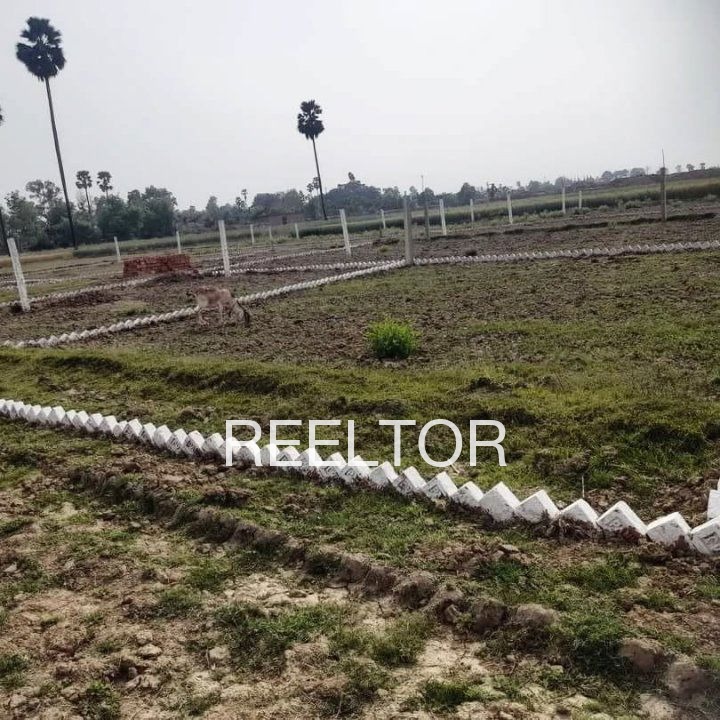 Plots For Sale In Rai Singhwala Bhawanigarh