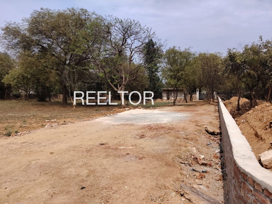 Plots For Sale In Akhalia Ganoda