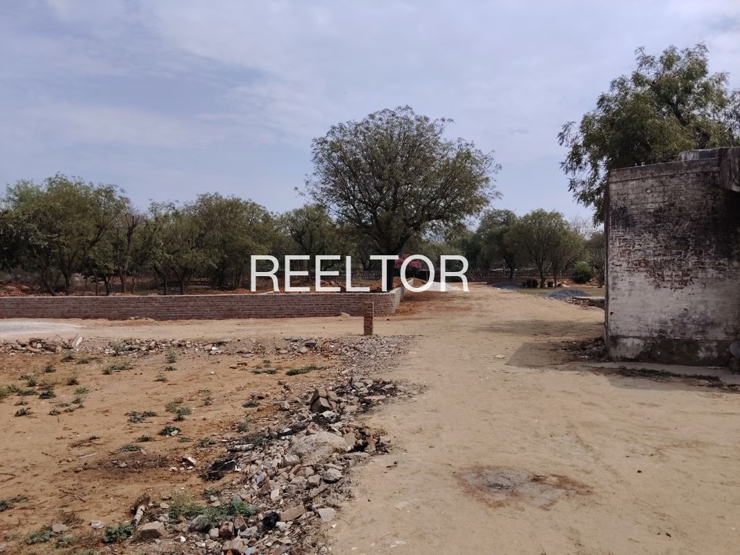 Plots For Sale In Tadasha Ani