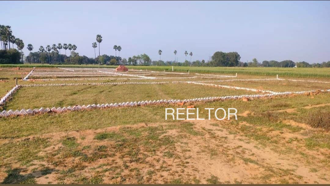 Plots For Sale In Nandi Chachyot